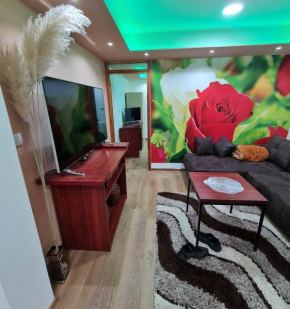 Apartman's Ana Pale-OC Jahorina No.2